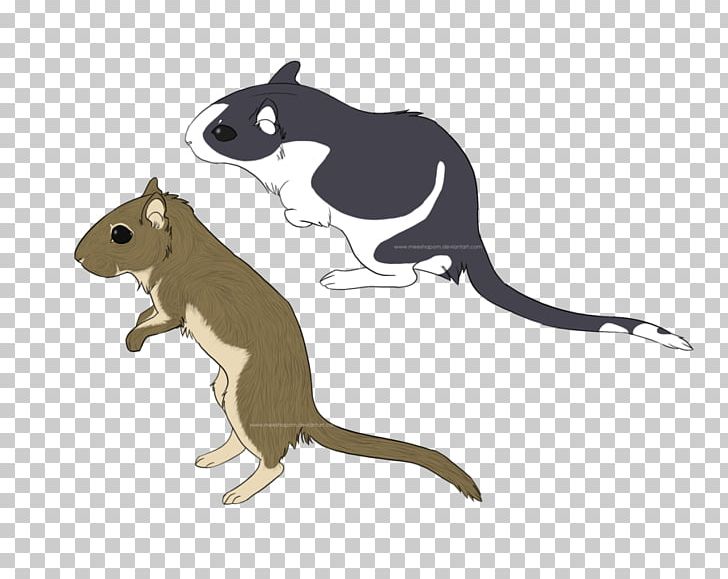 Gerbil Mouse Cat PNG, Clipart, Animals, Carnivora, Carnivoran, Cat, Cat Like Mammal Free PNG Download