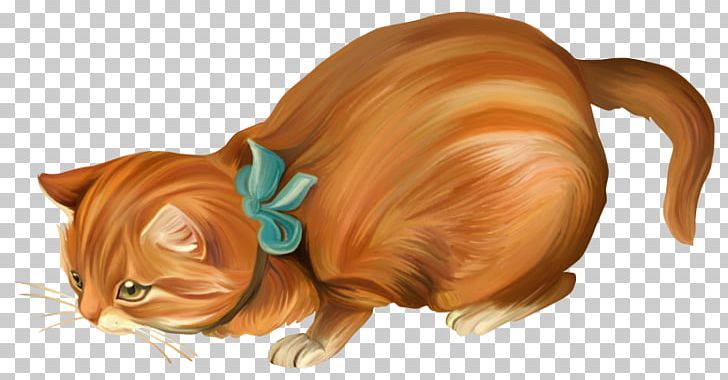Kitten Cat Cuteness Icon PNG, Clipart, Animals, Animation, Carnivoran, Cat Like Mammal, Color Free PNG Download