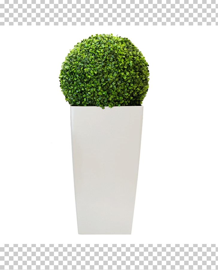 Flowerpot PNG, Clipart, Art, Boxwood, Flowerpot, Grass, Green Free PNG Download