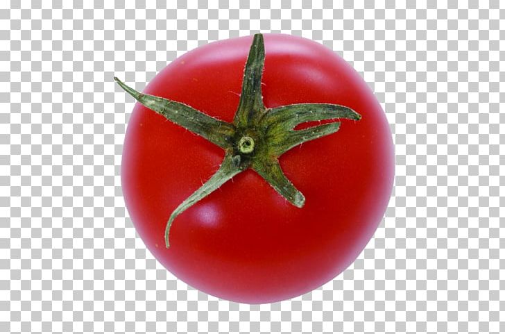 Plum Tomato Cherry Tomato Bush Tomato PNG, Clipart, Budi Daya, Cherry, Cherry Tomatoes, Food, Fruit Free PNG Download