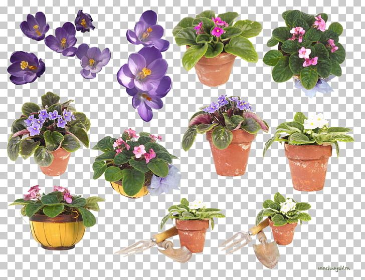 Violet Flowerpot Floral Design PNG, Clipart, Artificial Flower, Crock, Cut Flowers, Desktop Wallpaper, Digital Image Free PNG Download