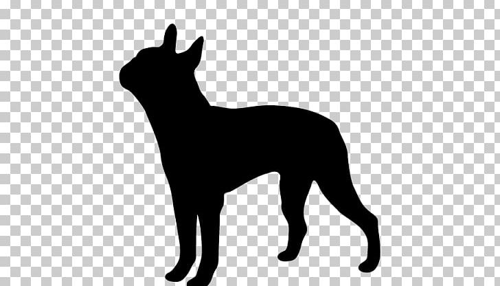 Boston Terrier Scottish Terrier West Highland White Terrier Puppy PNG, Clipart, Black, Black And White, Boston Terrier, Breed, Carnivoran Free PNG Download