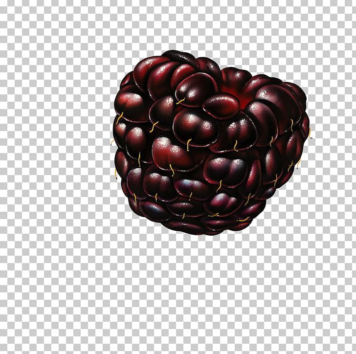Fruit Raspberry Blackberry Mulberry PNG, Clipart, Berry, Blackberry, Cartoon Pomegranate, Cherry, Cranberry Free PNG Download