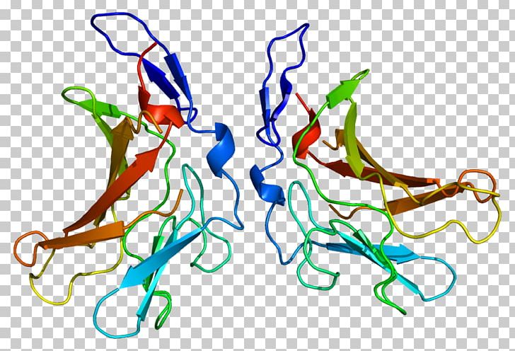 Insulin-like Growth Factor 2 Receptor Mannose 6-phosphate Receptor PNG, Clipart, Area, Art, Artwork, Binding Site, Cell Surface Receptor Free PNG Download