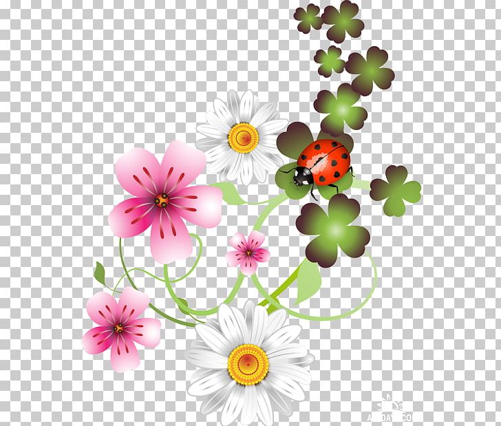 Saint Patrick's Day Holiday PNG, Clipart, Annual Plant, Birthday, Chrysanths, Collage, Dahlia Free PNG Download