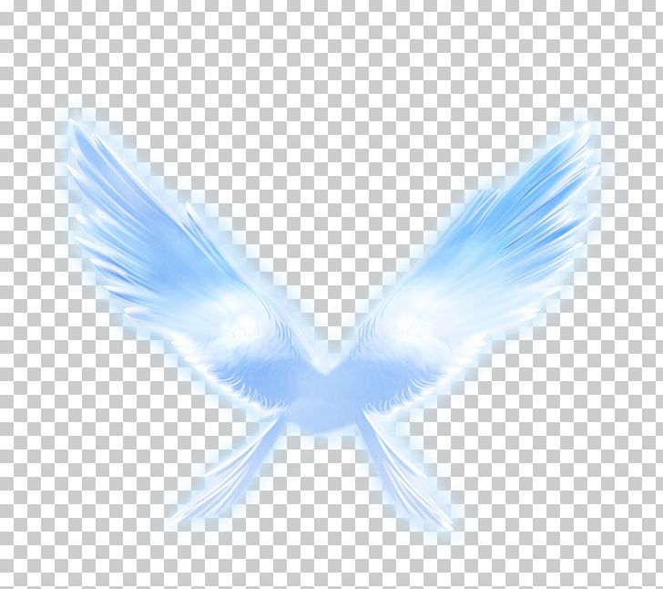 Wing PNG, Clipart, Angel, Angels, Angel Vector, Angel Wing, Angel Wings Free PNG Download