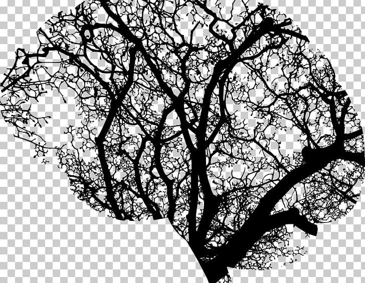 Brain Cognitive Training Tree Human Head PNG, Clipart, Black And White, Brain, Branch, Cognitive Training, Environment Free PNG Download