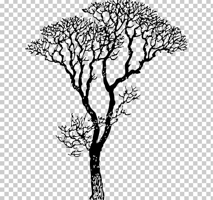 Drawing Line Art Tree PNG, Clipart, Arecaceae, Art, Artwork, Black And White, Branch Free PNG Download