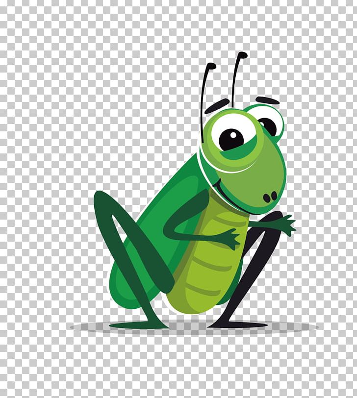 Insect Cricket Cartoon PNG, Clipart, Explosion Effect Material, Grasshopper, Grasshopper, Happy Birthday Vector Images, Insects Free PNG Download