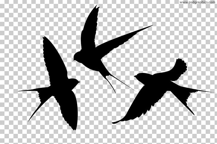 Swallow Silhouette Bird PNG, Clipart, Animal, Animals, Animal Silhouettes, Art, Barn Swallow Free PNG Download