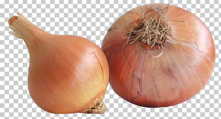 Yellow Onion Vegetable Shallot Food PNG, Clipart, Allium, Allium Chinense, Bulb Onion, Chives, Food Free PNG Download