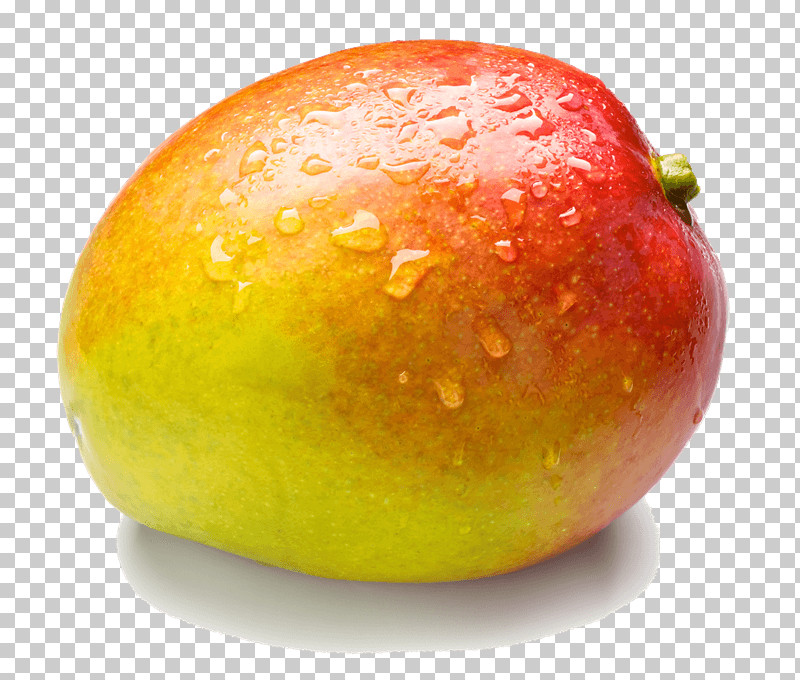 Mango PNG, Clipart, Accessory Fruit, Food, Food Spoilage, Fruit, Mango Free PNG Download