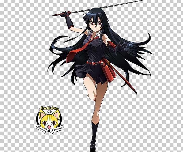 Akame Ga Kill! Cosplay Costume Clothing Anime PNG, Clipart, Action ...