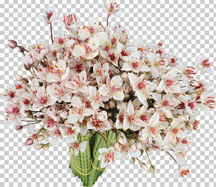 Frames Wedding Marriage Photography PNG, Clipart, Artificial Flower, Blossom, Bouquet Of Flowers, Branch, Cherry Blossom Free PNG Download