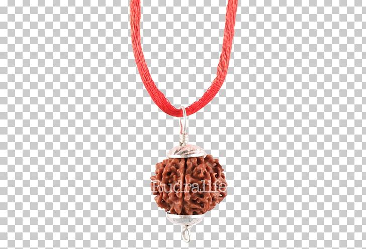 Rudraksha Rudralife Charms & Pendants Bead Locket PNG, Clipart, Anticariat, Bead, Book, Charms Pendants, Christmas Ornament Free PNG Download