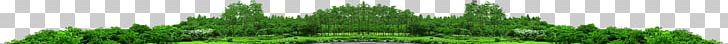 Wheatgrass Welsh Cuisine Allium Fistulosum Green Line PNG, Clipart, Allium, Allium Fistulosum, Art, Element, Grass Free PNG Download