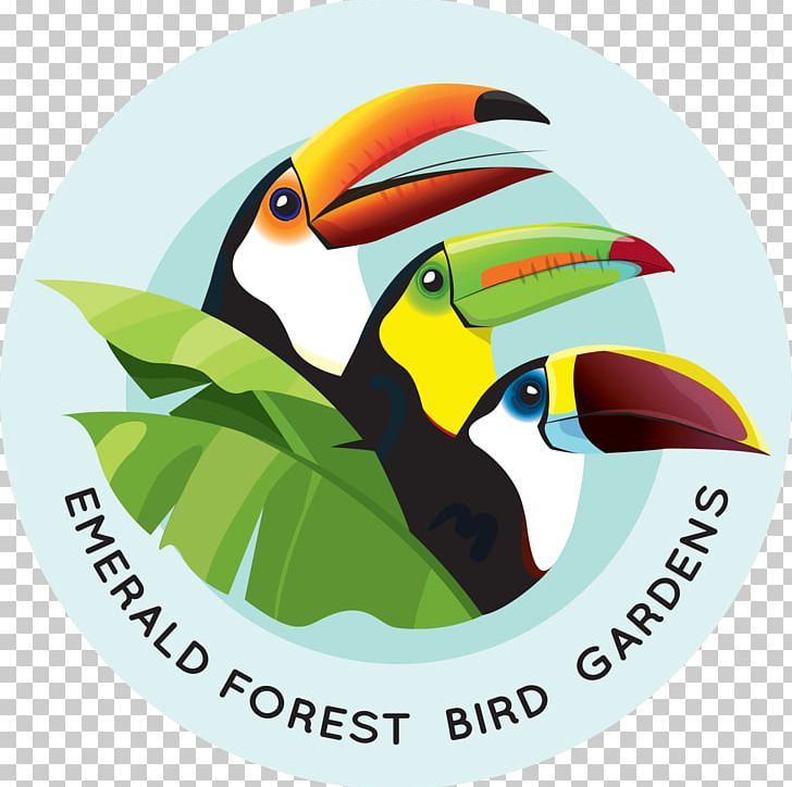 Emerald Forest Bird Gardens Beak Aracari Animal PNG, Clipart, Advertising, Animal, Animals, Aracari, Beak Free PNG Download