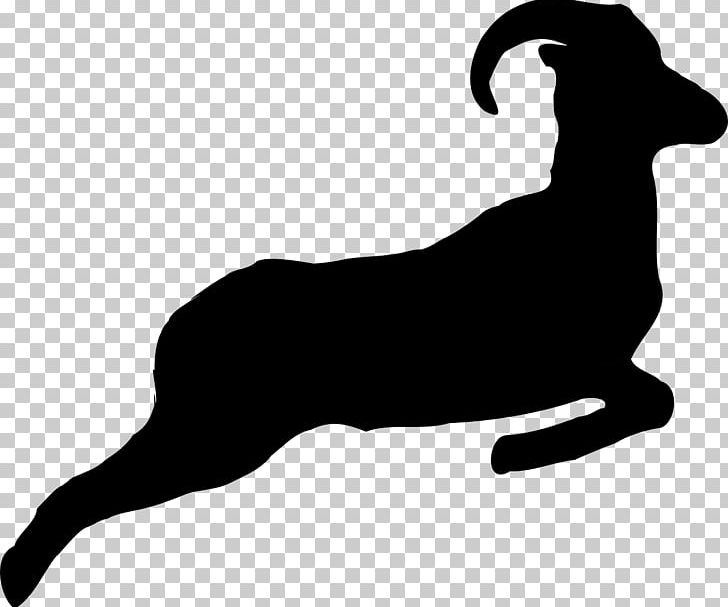 Goat Sheep Taurine Cattle PNG, Clipart, Animals, Black, Black And White, Carnivoran, Chamois Free PNG Download