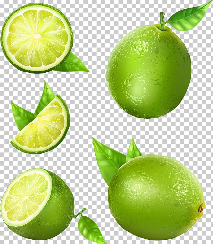 Lemon Juice Lime PNG, Clipart, Bitter Orange, Citric Acid, Citron, Citrus, Diet Food Free PNG Download