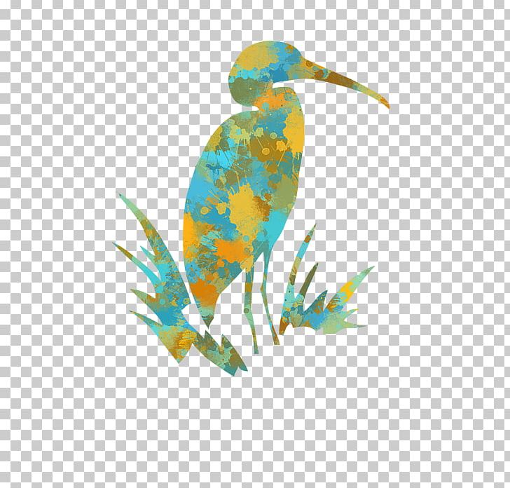 Beak Teal Feather Fish PNG, Clipart, Beak, Bird, Fauna, Feather, Fish Free PNG Download