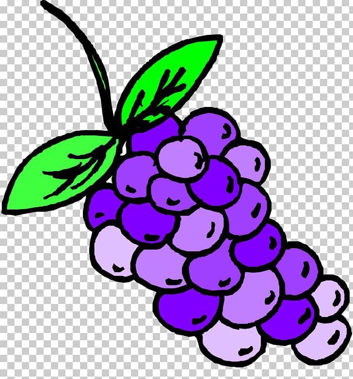 Grape Auglis PNG, Clipart, Art, Auglis, Cartoon, Drawing, Encapsulated Postscript Free PNG Download