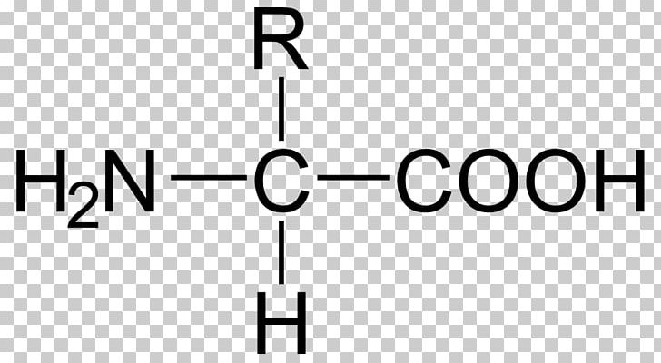 Carboxylic Acid Amino Acid Carbon Amine PNG, Clipart, Acid, Alpha And Beta Carbon, Amine, Amino, Amino Acid Free PNG Download