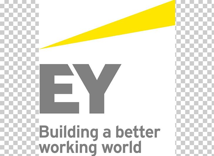 Ernst & Young Business Finance Audit Financial Adviser PNG, Clipart, Accounting, Angle, Area, Assurance Services, Audit Free PNG Download