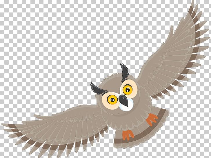 Owl Bird Cartoon PNG, Clipart, Animals, Animation, Art, Beak, Bird Free PNG Download