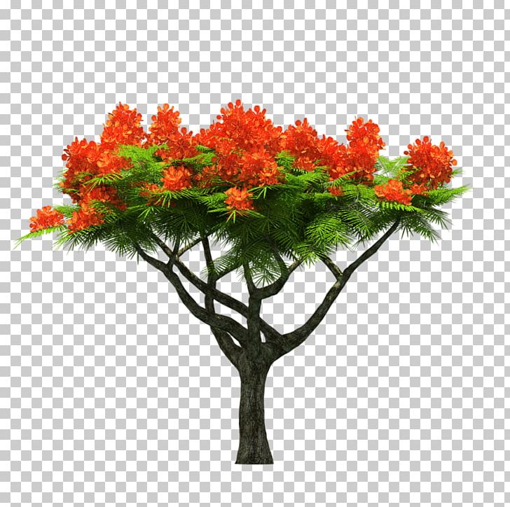 Tree Maple PNG, Clipart, Arbre, Branch, Cut Flowers, Flower, Flowering Plant Free PNG Download