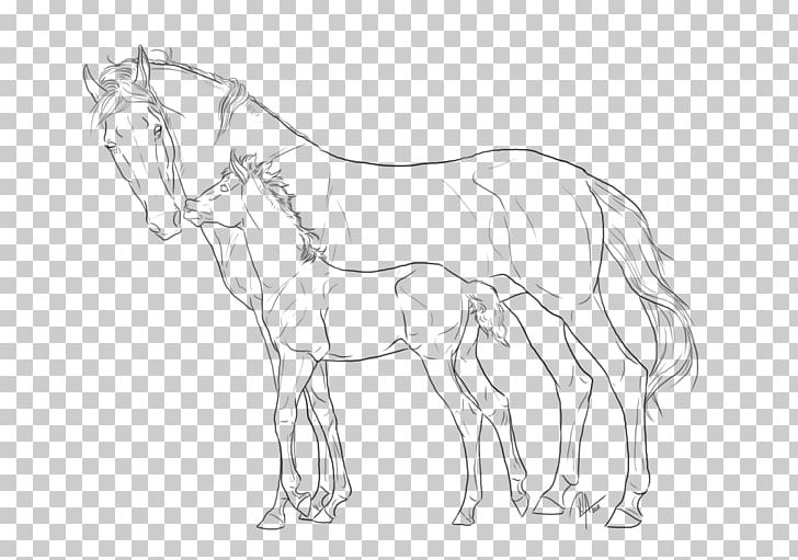 Mule Foal Mare Pintabian Colt PNG, Clipart, Arm, Artwork, Black And White, Bridle, Clydesdale Horse Free PNG Download