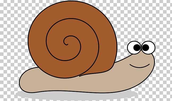 Snail Gastropod Shell PNG, Clipart, Download, Gastropods, Gastropod Shell, Invertebrate, Molluscs Free PNG Download