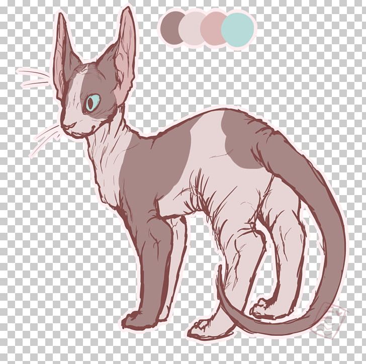 Whiskers Kitten Domestic Short-haired Cat Sphynx Cat Cornish Rex PNG, Clipart, Animal, Animals, Canidae, Carnivoran, Cat Free PNG Download
