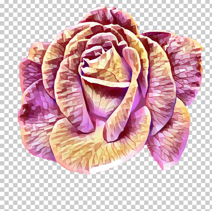 Cabbage Rose Garden Roses Petal Cut Flowers PNG, Clipart, Cut Flowers, Flower, Garden, Garden Roses, Lilac Free PNG Download