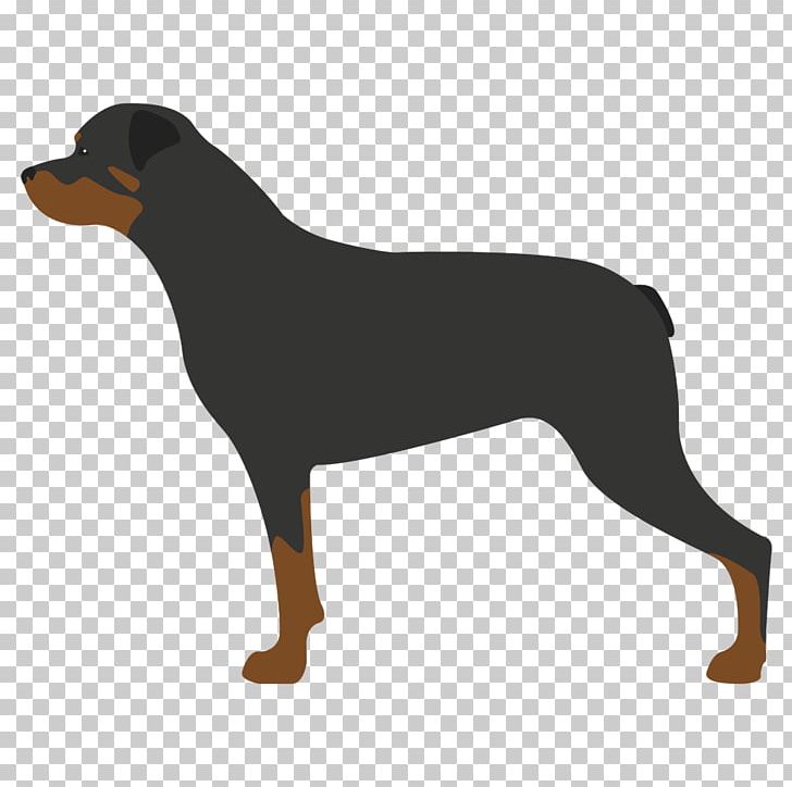 German Pinscher Puppy Smaland Hound Rottweiler Whippet PNG, Clipart, Animal, Animals, Breed, Bulldog, Carnivoran Free PNG Download
