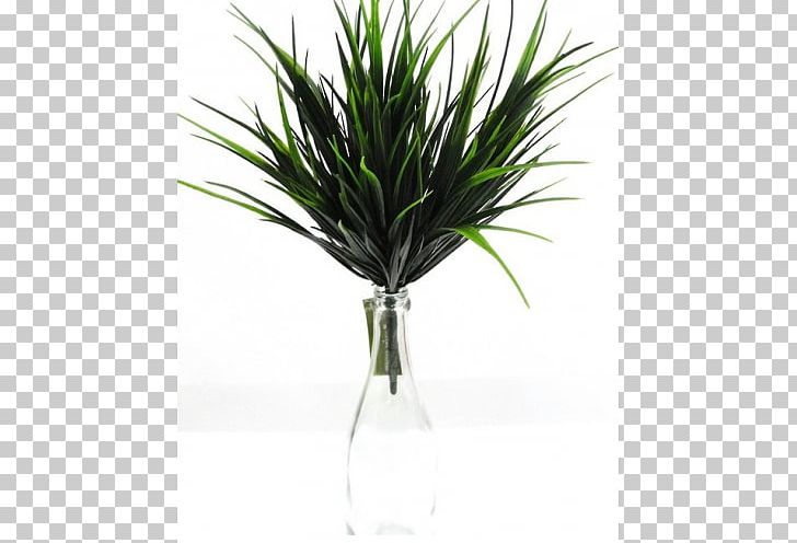 Green Wall Flowerpot Furniture Plant PNG, Clipart, Arecaceae, Arecales, Areca Palm, Clock, Echeveria Free PNG Download