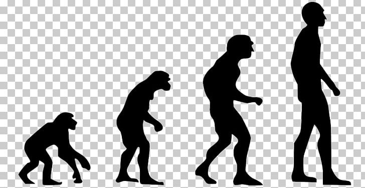 Homo Sapiens Ape Human Evolution Evolution 2.0: Breaking The Deadlock Between Darwin And Design PNG, Clipart, Ape, Biologist, Biology, Charles Darwin, Communication Free PNG Download