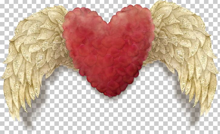 Wing PNG, Clipart, Angel Wing, Angel Wings, Blog, Brown, Centerblog Free PNG Download