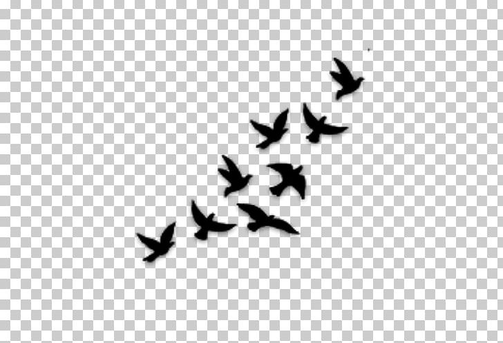 Bird Flight Drawing Silhouette PNG, Clipart, Animal, Animals, Beak, Bird, Bird Flight Free PNG Download
