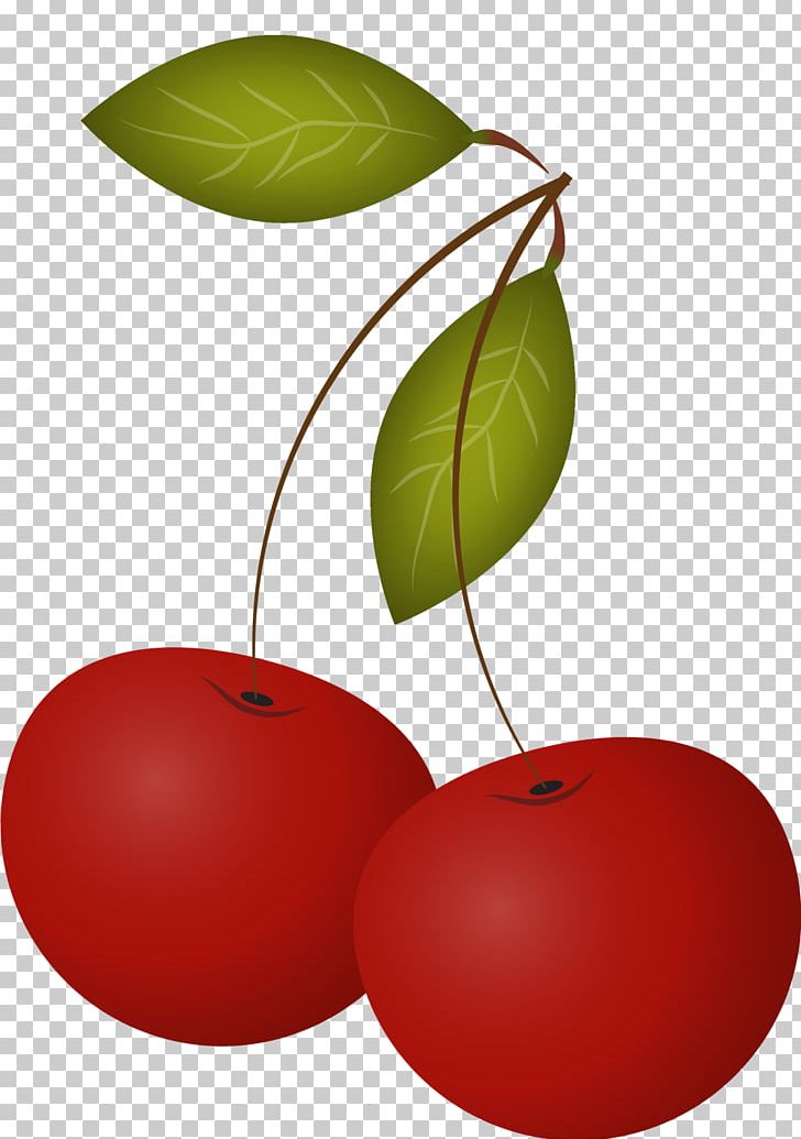 Cherry Leaf Drawing PNG, Clipart, Apple, Breath, Cherry, Cherry Blossom, Designer Free PNG Download