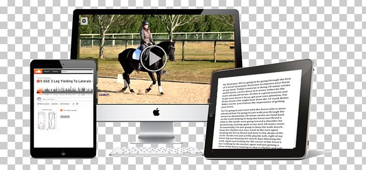 Horse Training Dressage Horse Training Computer Software PNG, Clipart, Brand, Coaching, Computer Software, Course, Dressage Free PNG Download