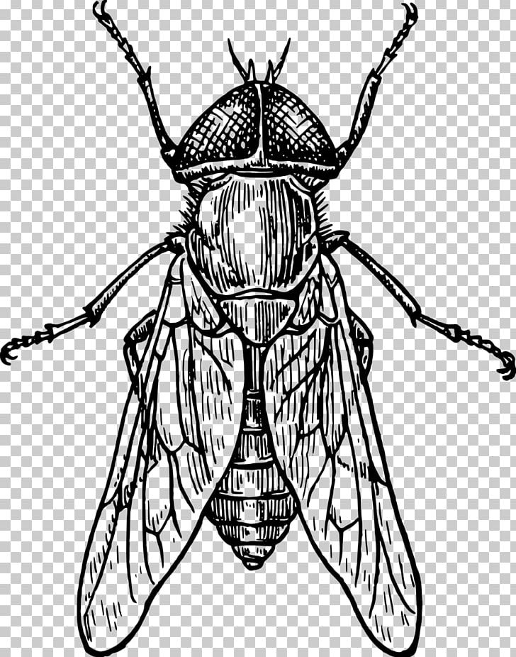 Insect Bee Drawing Line Art PNG, Clipart, Animals, Art, Arthropod, Artwork, Bee Free PNG Download