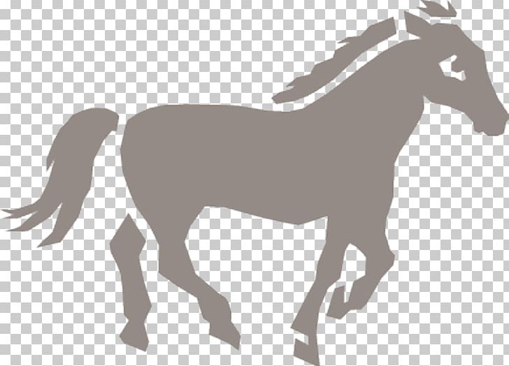 Boxing Foal Mustang Mare Pony PNG, Clipart, Art, Black And White, Boxing, Bridle, Brussels Free PNG Download