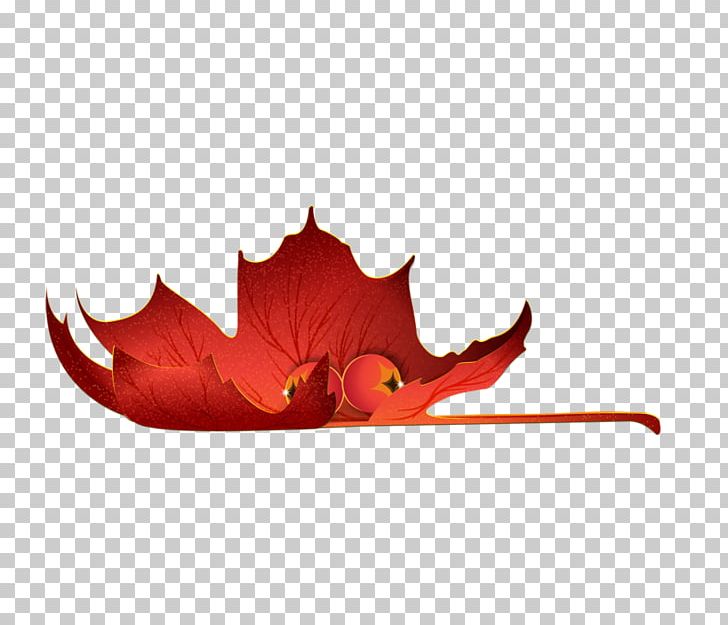 Leaf Autumn PNG, Clipart, Autumn, Computer Software, Flower, Leaf, Maple Leaf Free PNG Download