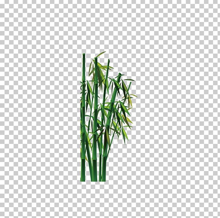 Bamboo Bambusa Oldhamii Green PNG, Clipart, Adobe Illustrator, Angle, Bamboe, Bamboo, Bamboo Border Free PNG Download