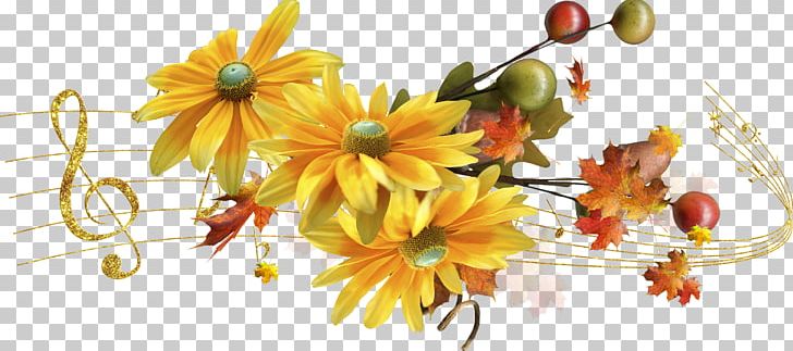 Blog Daytime Morning .de Birthday PNG, Clipart, Autumn, Birthday, Blog, Chrysanths, Cut Flowers Free PNG Download