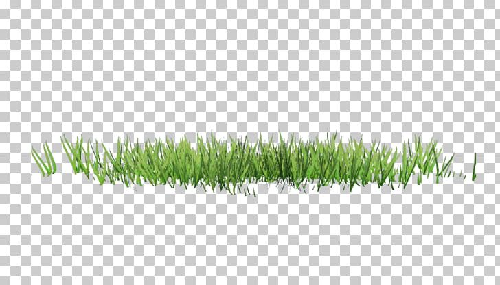 Drawing PNG, Clipart, Drawing, Grass, Grass Family, Lawn, Miscellaneous Free PNG Download