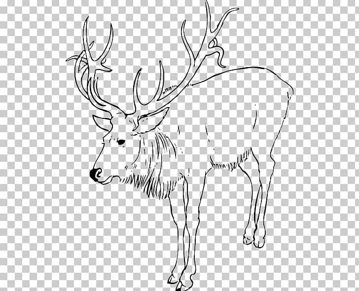 Rudolph Reindeer Antler PNG, Clipart, Antler, Area, Black And White, Christmas, Deer Free PNG Download