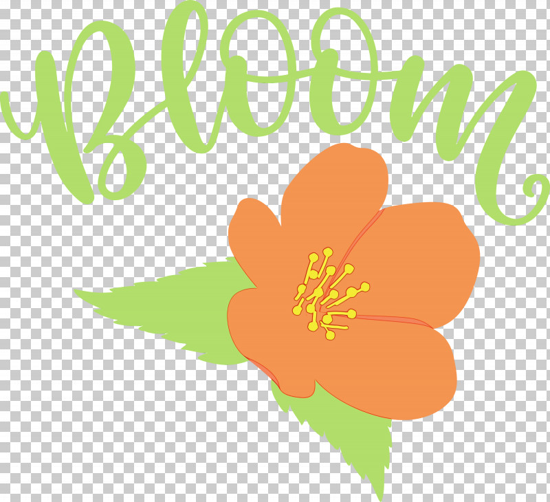 Floral Design PNG, Clipart, Bloom, Flora, Floral Design, Flower, Line Free PNG Download