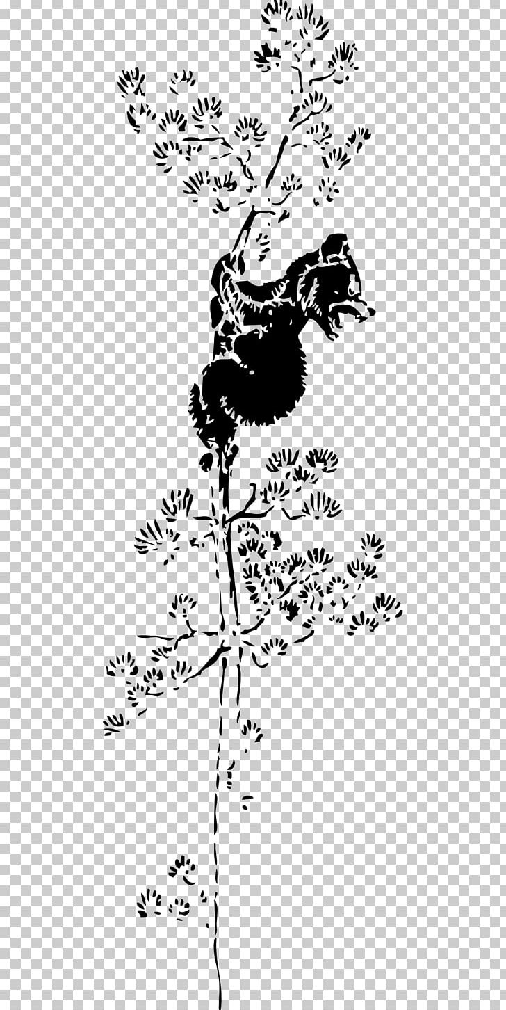 American Black Bear Giant Panda Tree Climbing PNG, Clipart, Animal, Animals, Area, Art, Bear Free PNG Download