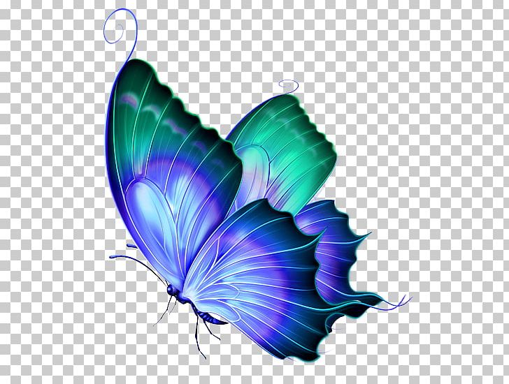 Butterfly Greta Oto PNG, Clipart, Butterfly, Computer Wallpaper, Encapsulated Postscript, Finalist Cliparts, Flower Free PNG Download